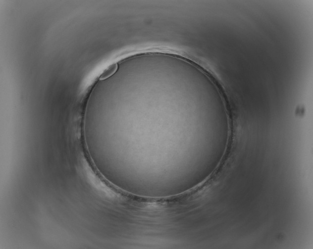 X0000112521504200908241431