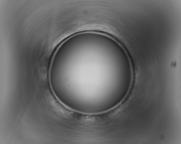 X0000112521505200908241431
