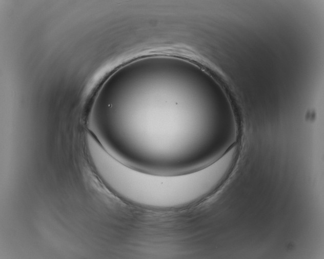X0000112521506200908241431