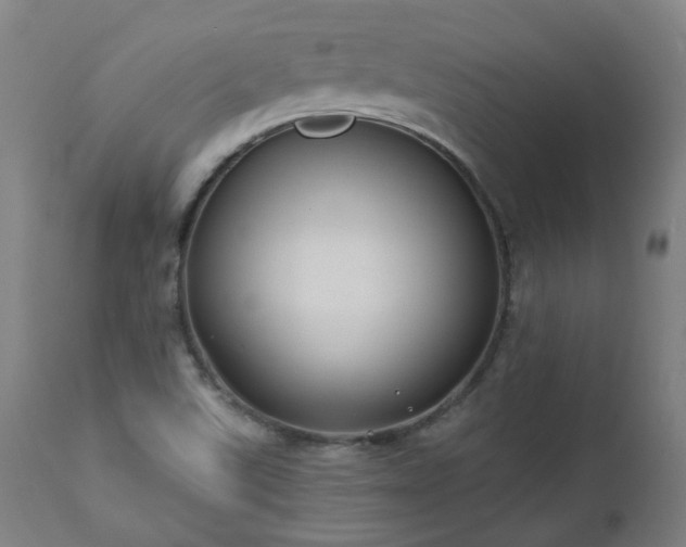 X0000112521507200908241431