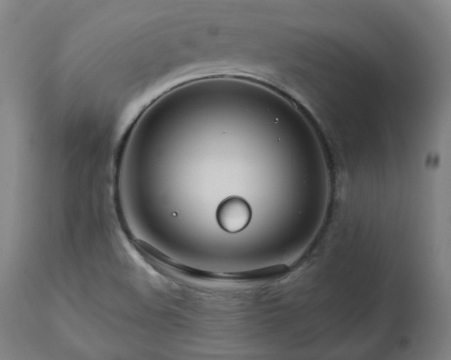 X0000112521508200908241431