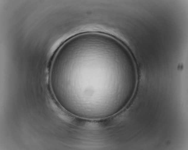 X0000112521509200908241432