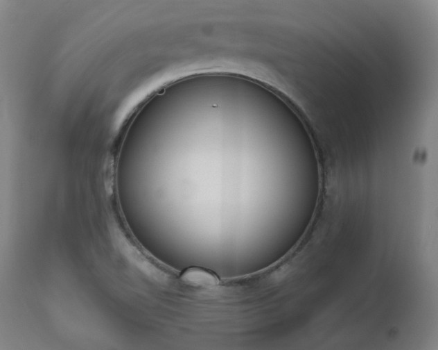 X0000112521510200908241432