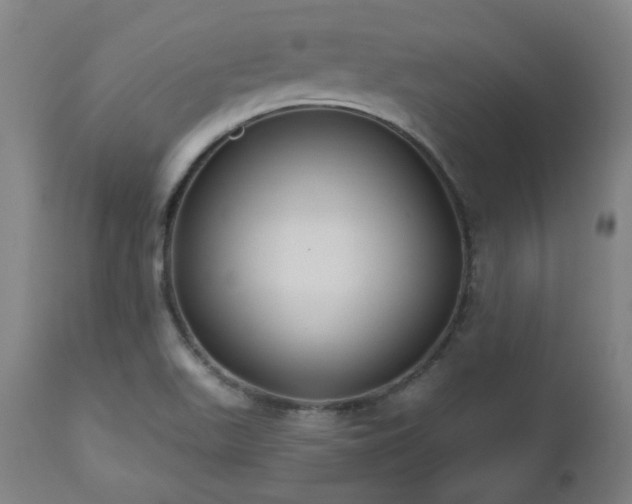 X0000112521511200908241432