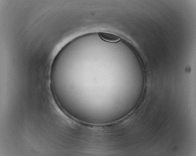X0000112521512200908241432