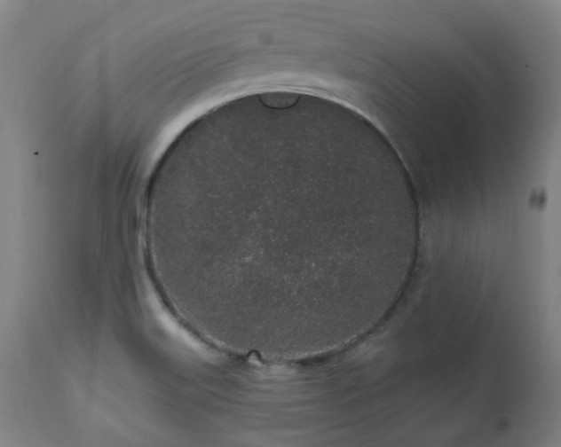 X0000112521515200908241432