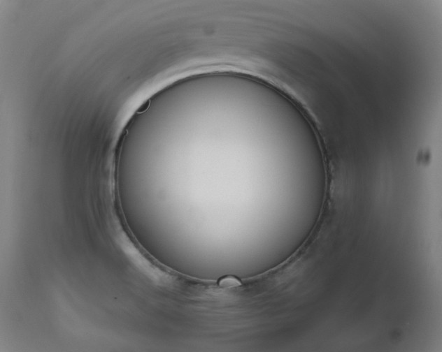 X0000112521516200908241432