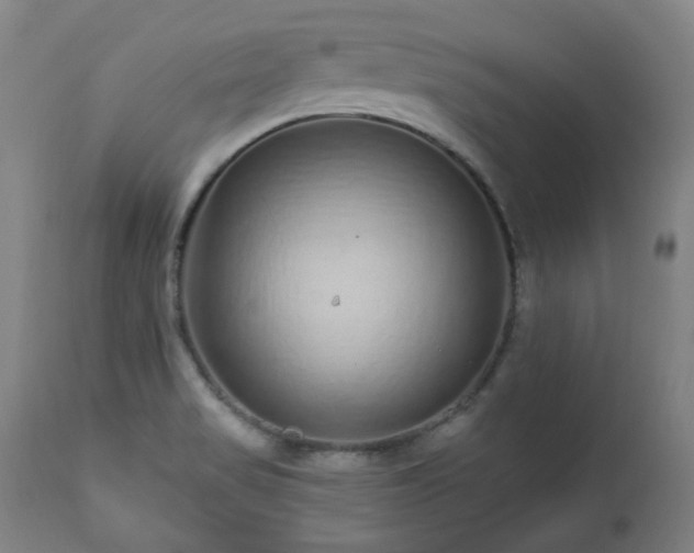 X0000112521517200908241432