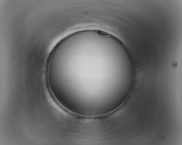 X0000112521518200908241432