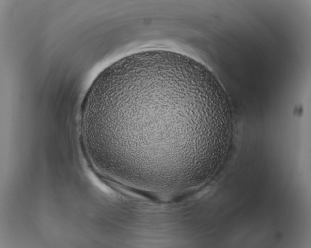X0000112521519200908241432