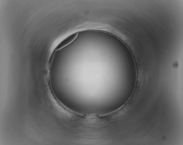 X0000112521520200908241432