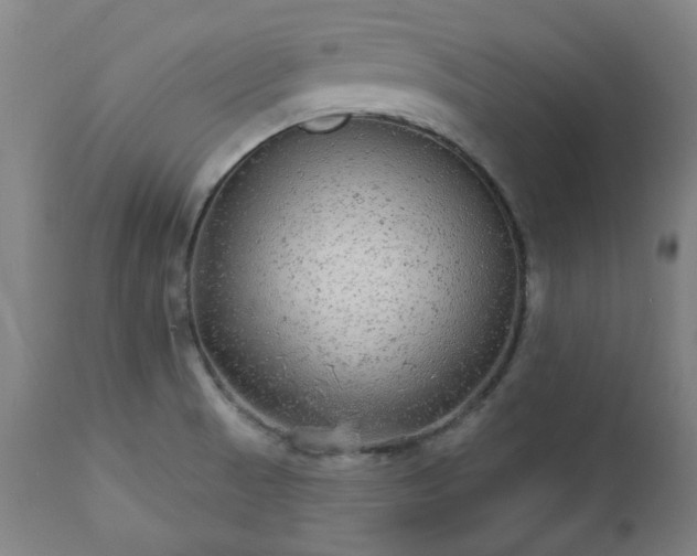 X0000112521521200908241432