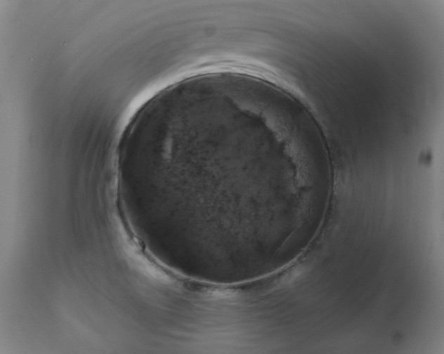 X0000112521522200908241432