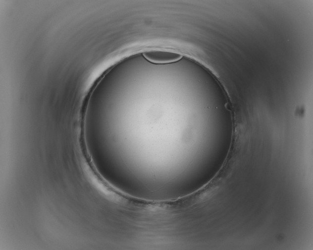 X0000112521523200908241432