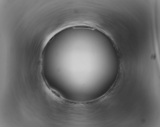 X0000112521524200908241432