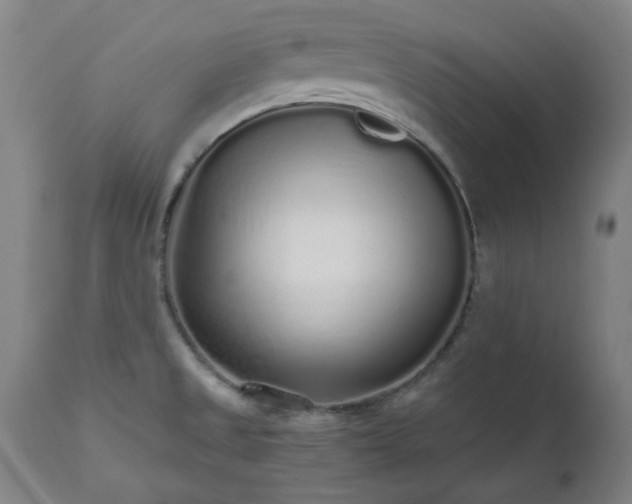 X0000112521525200908241432