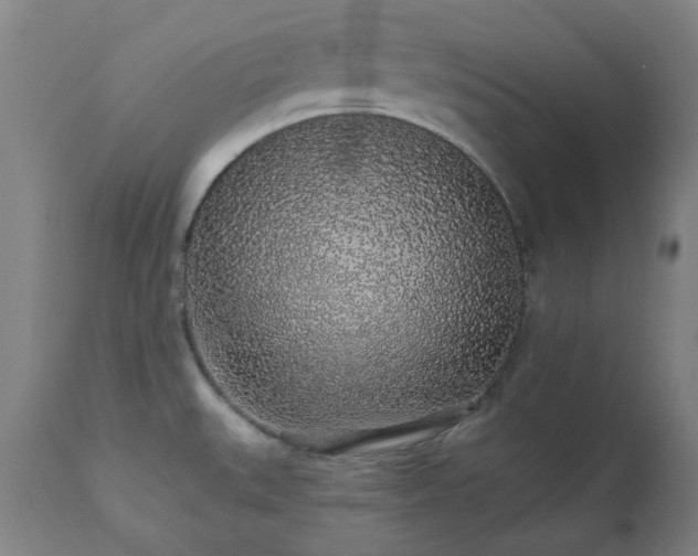 X0000112521527200908241432