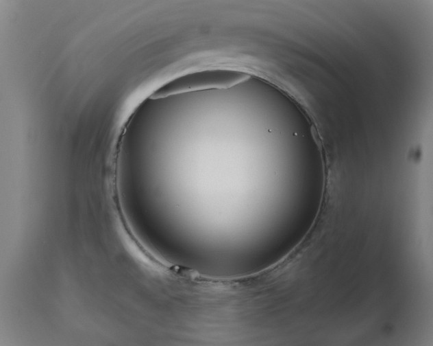 X0000112521528200908241432