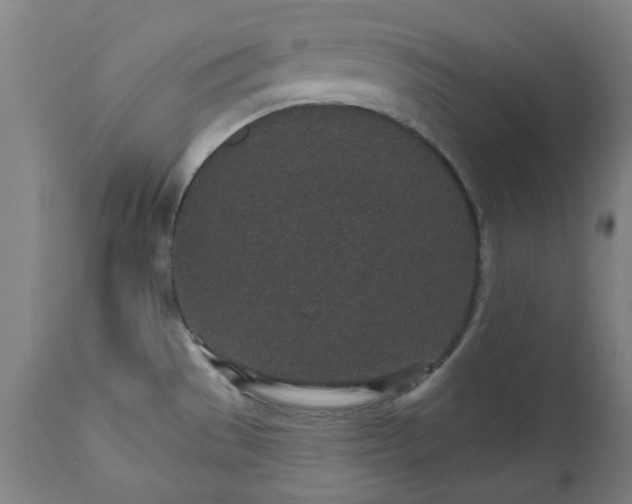 X0000112521529200908241432