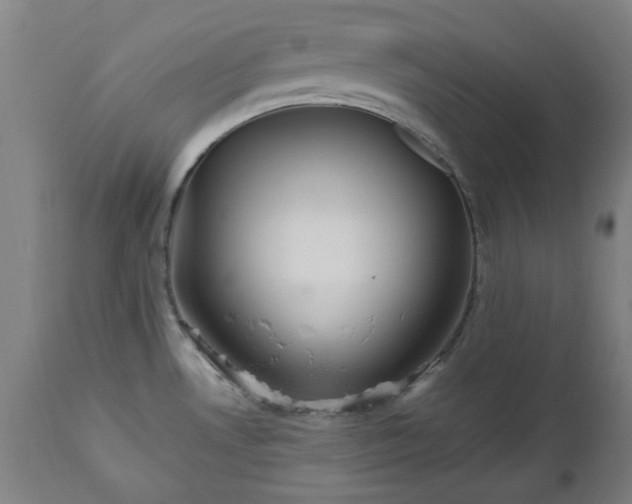 X0000112521530200908241432
