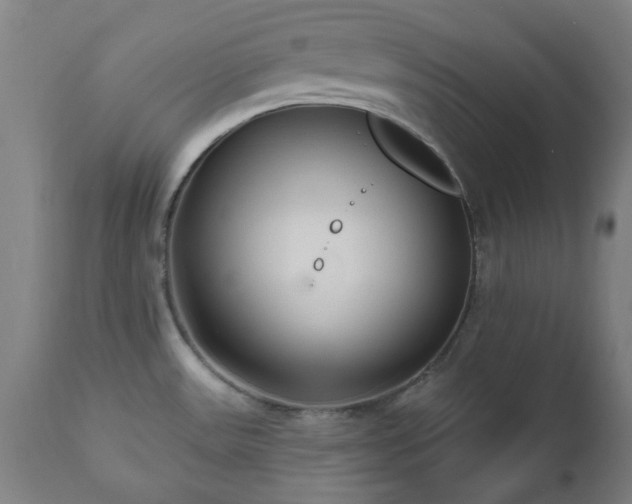 X0000112521531200908241432