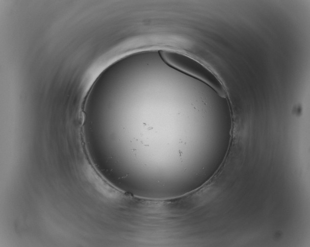 X0000112521532200908241432