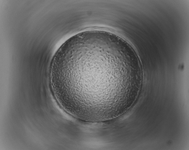 X0000112521533200908241432