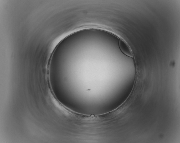 X0000112521535200908241432