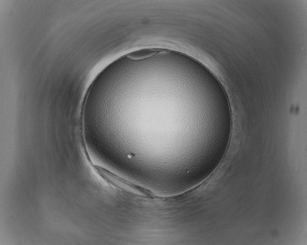 X0000112521536200908241432