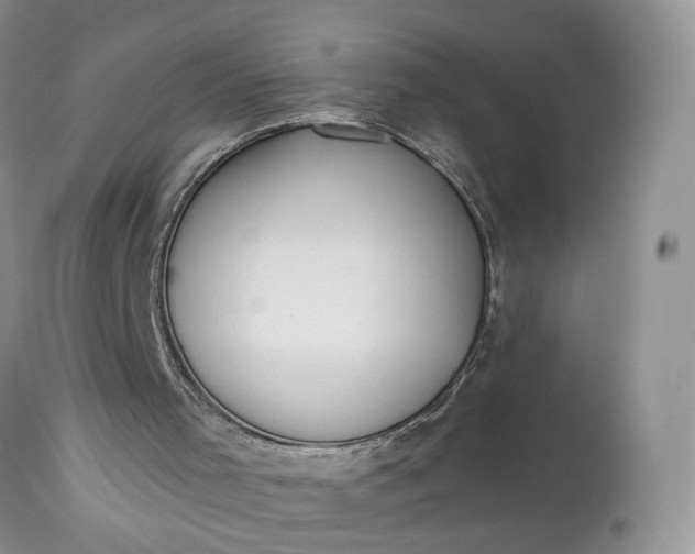 X0000112520001200908311409