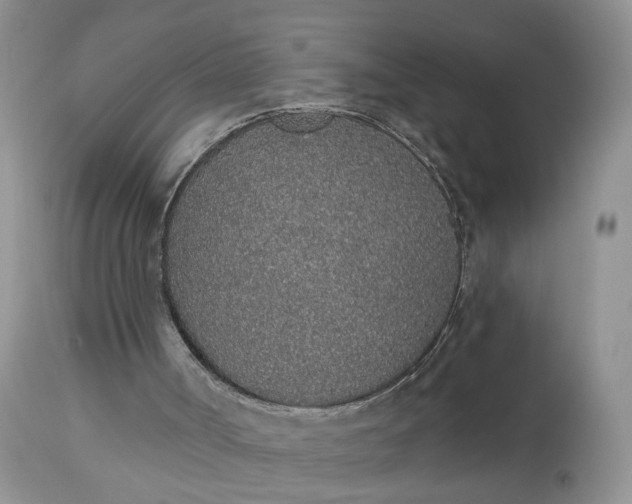 X0000112520002200908311409