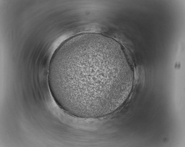 X0000112520003200908311409