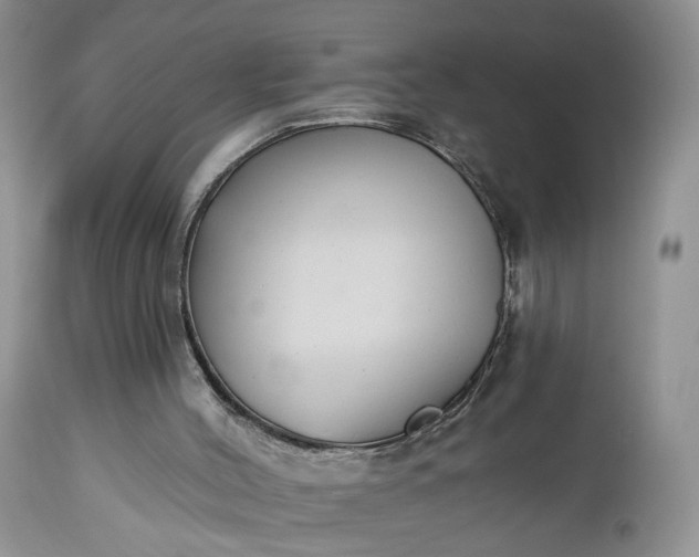 X0000112520004200908311409