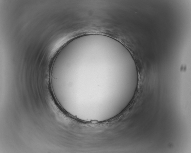X0000112520005200908311409