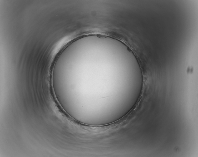X0000112520006200908311409