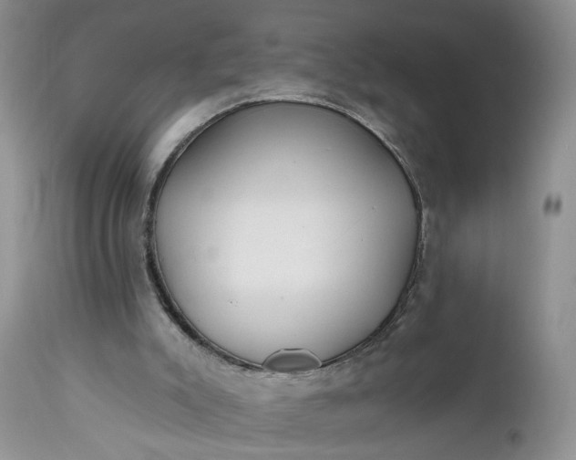 X0000112520007200908311409