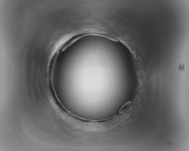 X0000112520008200908311409