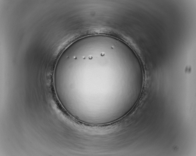 X0000112520010200908311409