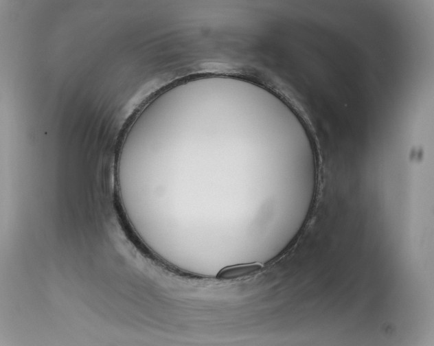 X0000112520011200908311409