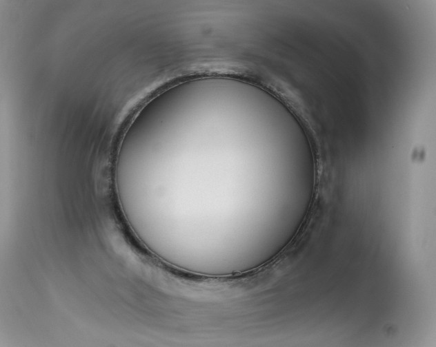 X0000112520012200908311409
