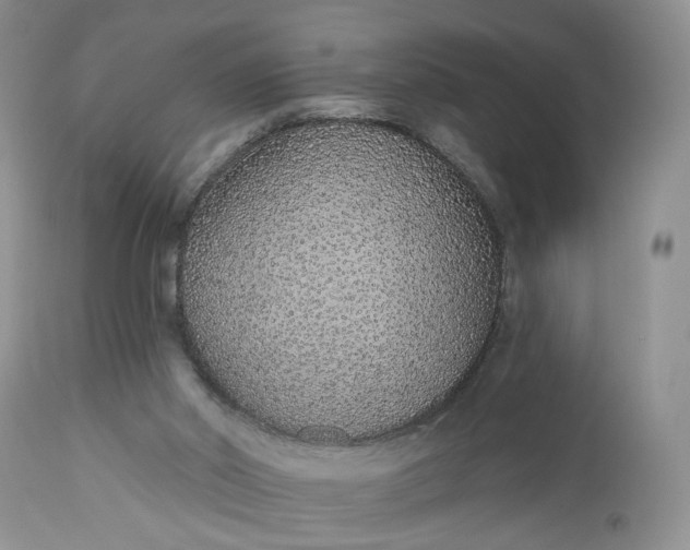 X0000112520014200908311409