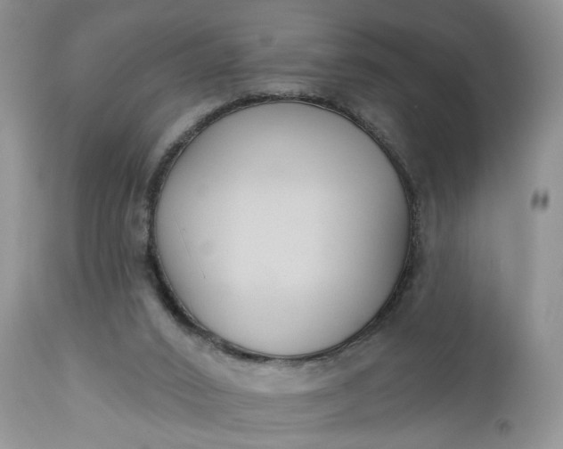 X0000112520016200908311409