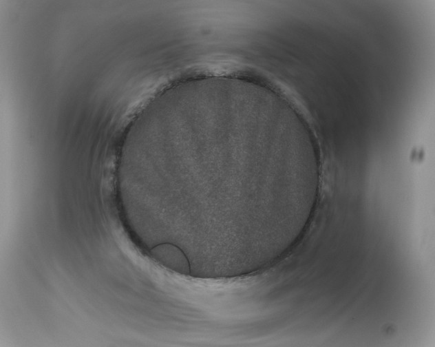 X0000112520018200908311409