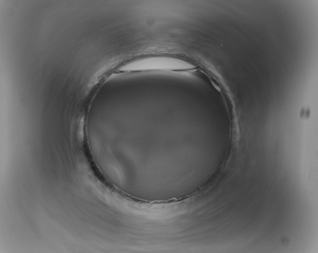 X0000112520019200908311409