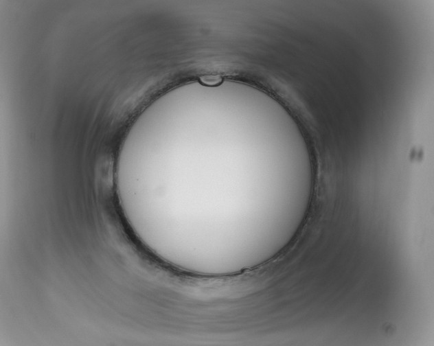 X0000112520021200908311409
