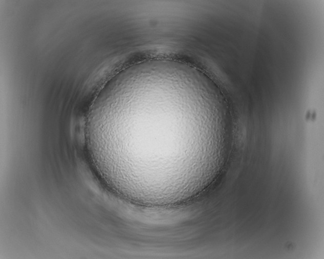 X0000112520022200908311409