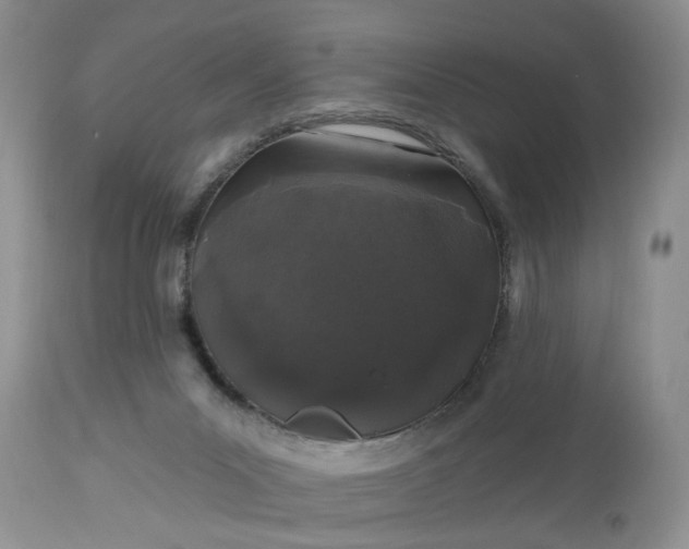 X0000112520023200908311409