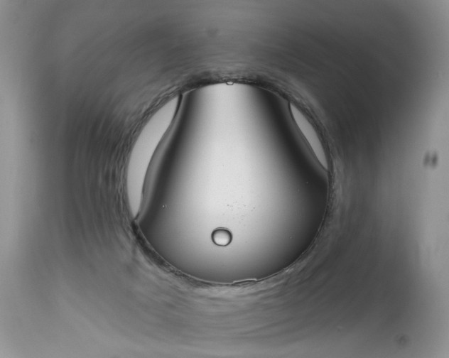 X0000112520025200908311409