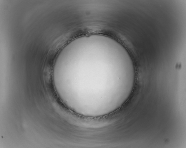 X0000112520026200908311409