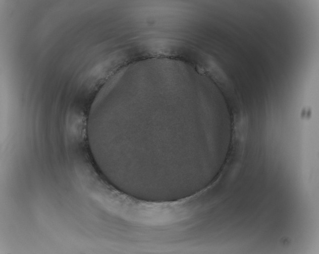 X0000112520029200908311409